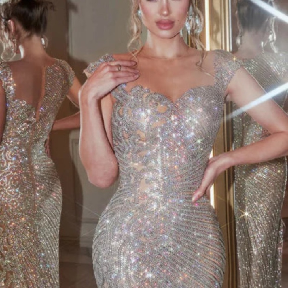Portia and Scarlett Glittering Silver Gown